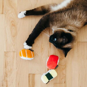 _yVX[p[SALE{|Cgő10{^PLAY tB[CtW[ XV 3Zbg y L  ʂ i Hו  zI[KjbNLbg jbv