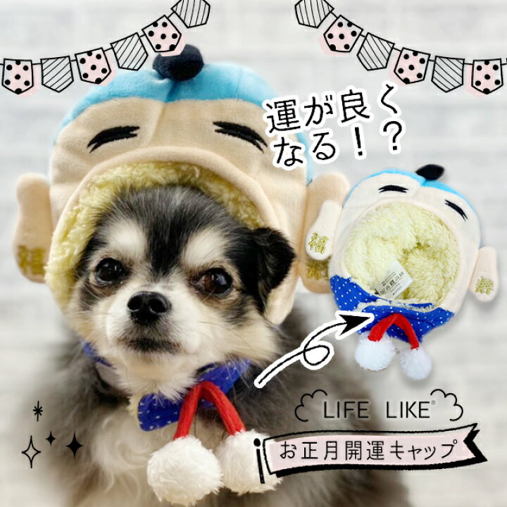 楽天市場 スーパーセール ネコポス配送 お正月開運キャップ 帽子 小型犬 中型犬 大型犬 Lifelike 犬 服 牛 正月 インスタ映え ライフライク コスプレ ひなたぼっこ楽天市場店