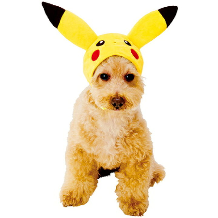 楽天市場 ネコポス配送 ペティオ ポケットモンスター 変身ほっかむり ピカチュウ 犬 猫 帽子 インスタ映え イーブイ ひなたぼっこ楽天市場店