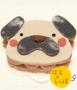 _ }\ԑSi5{I ^pO݂ȃ^Cvyo[OyP[Lz (Y P[L  ͂ȂƂ)