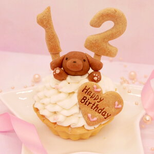 _ }\ԑSi5{I ^nbs[veB[E[P[L pP[L (Y P[L  ͂ȂƂ)