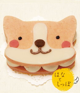 _ }\ԑSi5{I ^EFVR[M[݂ȃ^Cv yo[OyP[Lz (Y P[L  ͂ȂƂ)