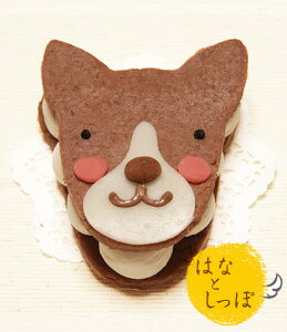 _ }\ԑSi5{I ^C^AOCnEh݂ȃ^Cv yo[OyP[Lz (Y P[L  ͂ȂƂ)