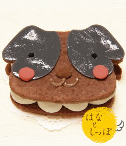 \ エントリーで最大10倍+ワンにゃん400円クーポン /ジャックラッセルテリアみたいなタイプ 【ワンバーグ発酵ケーキ】 (無添加 ケーキ 犬 はなとしっぽ)