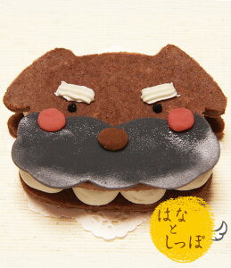 _ }\ԑSi5{I ^~j`AViEU[݂ȃ^Cv yo[OyP[Lz (Y P[L  ͂ȂƂ)