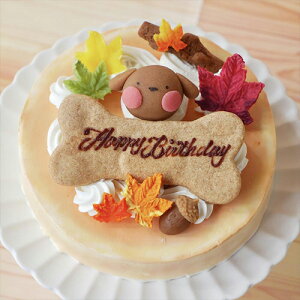 _ }\ԑSi5{I ^y M[^ v`TCY zH݂`gtV[gP[Ly  L P[L zy Y Y P[L ͂ȂƂ H gt G a 