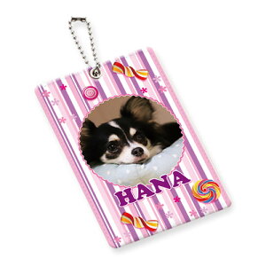 �_ LINE�o�^��300�~�N�[�|���I �^�y �I�[�_�[���C�h �z�I���W�i���p�X�P�[�X(�ʐ^ �� �L �y�b�g IC�J�[�h�P�[�X ������� �p�X�P�[�X ������)