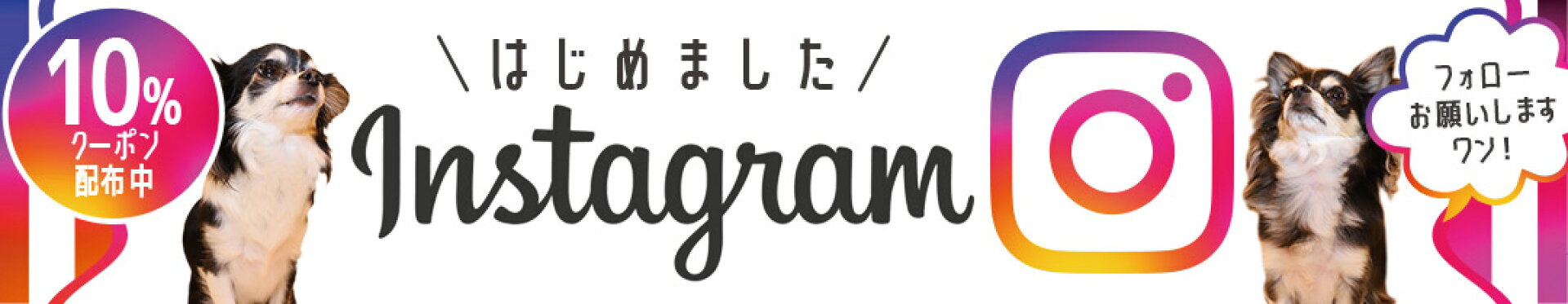 Instagramフォローお願いしますワン！