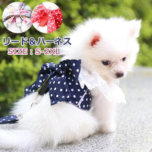  U S[h o AEghA pn[lX Lpn[lX ybgpi n[lX[h Zbg 킢 p