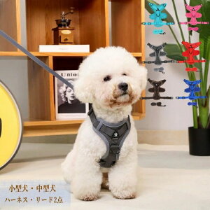  K  킢 EFAn[lX ߉\  Ȃ hbO[h ^ ^ p [ht ^ n[lX