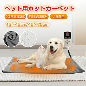 y zbg}bg 4iK^C}[ ybgq[^[ L zbgJ[ybg 3Pۏؕt L  zbgJ[ybg ybg yz