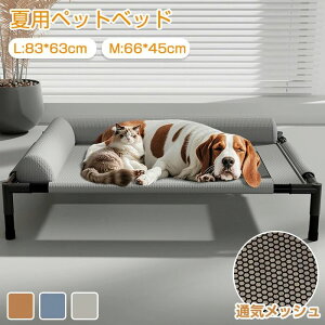  ʋC ̂ Rbg Lv Lvxbh xbh  ybgRbg hbORbg ėp p rt ybgxbh