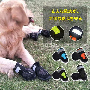   JpC Jpu[c g h h  hbOu[c hbOV[Y pC u[c  C 4Zbg EȂ C