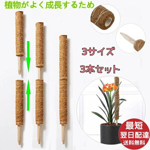   A Ԃ Ax |x RRibc ϋv  \ x |gX x A  x Xe