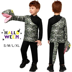  N Aj}  Ԃ wr Aj} RX`[ ߑ RXv wr q ߑ nEB N 