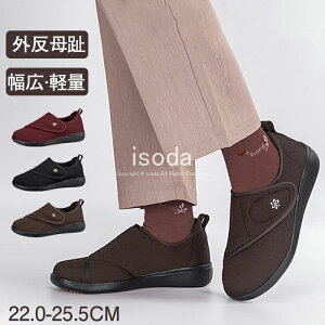 O ɂȂ ₷ fB[X nrV[Y ʃt@Xi[ y L fB[X RtH[gV[Y fB[X