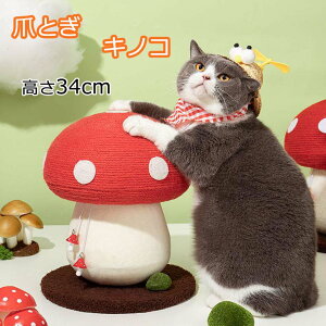 VRTCU ̂^ L̂ Lbg|[ ܖ ܌ Lbg^[ lR Lp LmR^L^[  ܂Ƃ