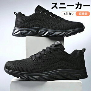 ^C JWA EH[LOV[Y ɂ ʋC L ₷ y  bV  fB[X Y