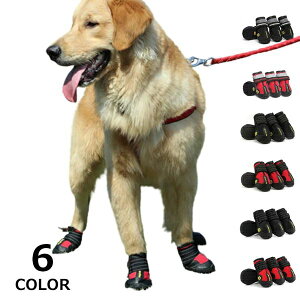 o pV[Y hbOV[Y }WbNe[v hbOu[c _炩 U  h ~ ی ^A^