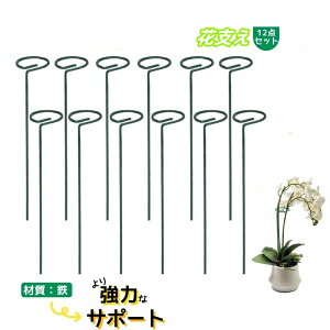 |x |p _Ɨp K[fjO 40cm t[x xI x U ϗtx ͂ȃT|[g S AT|[g Ԃ