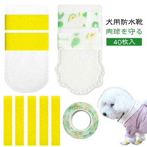 hbOu ̃V[Y U sDz pC Jo[ ̌C h~ ی ی ~ LkSѕt ĝ 40