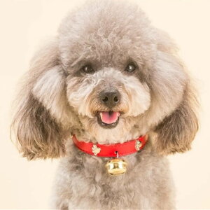  xt ybgObY  Lbg lR ˂  M L̎ U[  Ck S ^ v v  L ybgpi ^