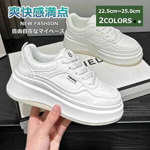 ^ WMO X|[c Vv YXj[J[ _CGbgV[Y jOXj[J[ fB[X V[Y Xj[J[