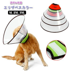 wXPA ~h~  Lpi pi GUxXJ[ rߖh~  ی pPA rߖh~ ^ ^