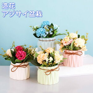 tFCNt VNt[ ԕrt AWTC~ lHϗtA ͂Ȃ hCt[  CeA ~ 