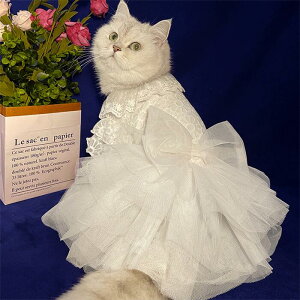 S/M/ 킢 Ck lR J`[V hX tH[} L [XXJ[g tH[}hX EFfCOhX ґ 