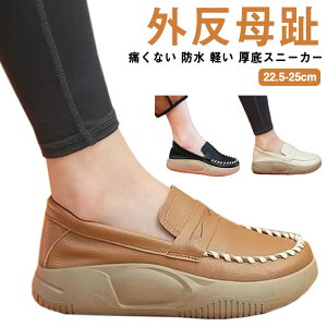 Xj[ y h ɂȂ C U[ RtH[gV[Y Xj[J[ 4cm  Xb| fB[X V[Y O