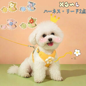 o ʋC K  킢 EFAn[lX  Ȃ hbO[h ^ ^ p [ht ^ n[lX