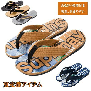  AEghA Ȃ s Ȃ ₷ ₷ y y gOT_ T_ fB[X r[`T_