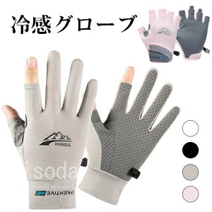  Ă bV X}z St uvJbgt ⊴ O[u Y  O[u  fB[X O[u Ăh~