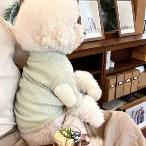  h΍ ΍ h g H~ ybgp hbO ^ ^ gCv[h R[g EFA p ̕  