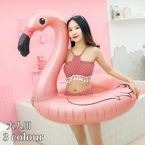 Vїpi v[pi r[`ObY C ċx C V  120cm a90cm  t~S h[ic  l