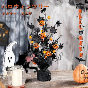  c[ ڂ JGf̗t nEBu[P  J{`  p[eB[ I[ig nEB nEBfR