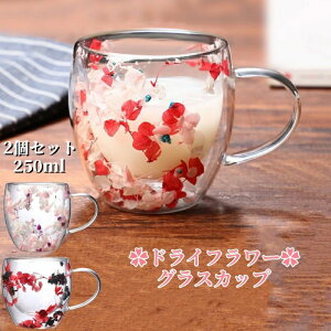 ^f eB[Jbv R[q[Jbv hCt[t ϔMKX 250ML dOX hCt[OXJbv t