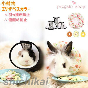 ~h rߖh~ }WbNe[v z NbV \tg ETM bg }EX tFbg  nX^[ 