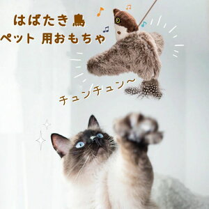 Xg ^s ӂӂ Aȓ XgXU ߋ Lp d   lR o  ͂΂