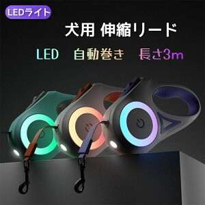  AEghA ԎU ʉ@ s ybgpi O[h ˌ 3? ^Ή ^  LEDCg Lk[h