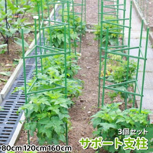 K[fjOp K[fjO イI 鐫A g}g | ؉ ؎x x gݗĎ g}gx 160cm 120cm 80cm