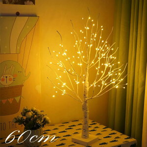  C~l[VCg  h ԐڏƖ  Cg LED u`c[   dr/USB e[uCg