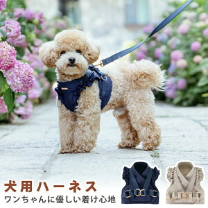 EFAn[lX  tCX[u  ^ t Lp p Vv 킢 Hp ^ [h  n[lX 