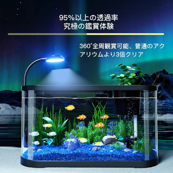 楽天市場】金魚 水槽セット 熱帯魚 水族館 魚飼育 LEDライト水槽 