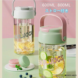 vX oR AEghA X|[c ^  W K ̑ e l q IV ֗ y  500ml  