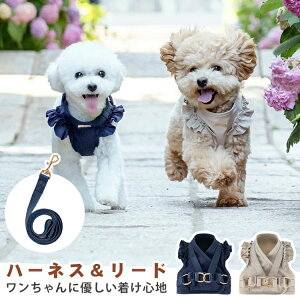 EȂ EFAn[lX  tCX[u  ^ t Lp p 킢 Hp ^ [h  n[lX 