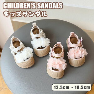 L hXV[Y p[eB[ ʊw ʉ  Pl vZX  V[Y LbYT_  ܐ ̎q LbY