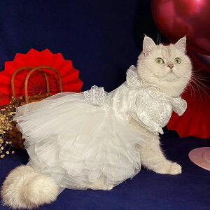 �E�F�f�B�� �L �m�� ���� ������ �t�H�[�}�� �����s �E�F�f�B���O �L���b�g�E�F�A �h�b�O�E�F�A ���� ������ �E�F�f�B���O�h���X