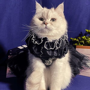 m    tH[} EFfBO LbgEFA hbOEFA   FhX  EFfBOhX